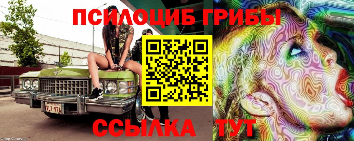 Галлюциногенные грибы мицелий Северск