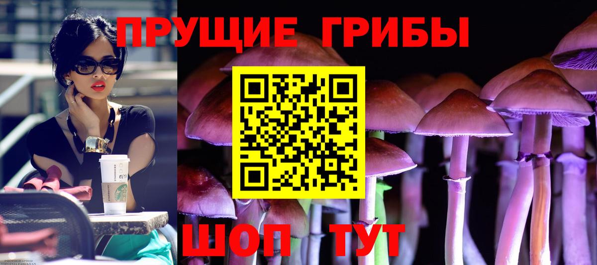 Северск  Псилоцибиновые грибы мухоморы  Вход с VPN 